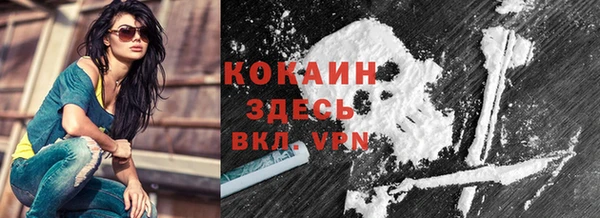 индика Чекалин