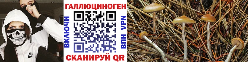 kraken как зайти  Кизел  Галлюциногенные грибы ЛСД 